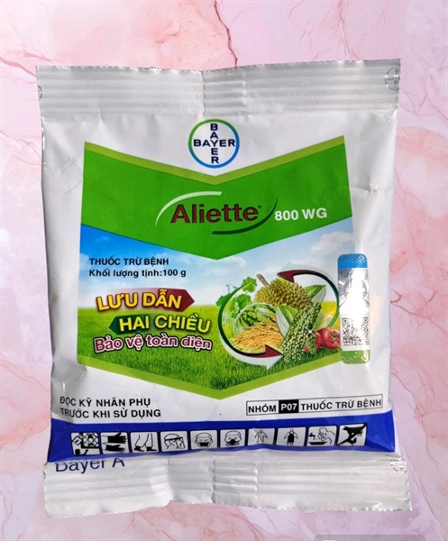 ALIETTE 80WP