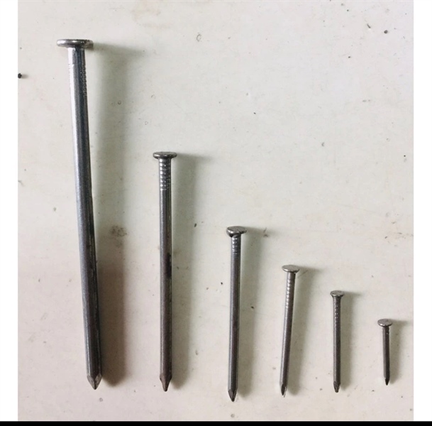Đinh thường HQ đinh chỉ, 1.5 , 2F