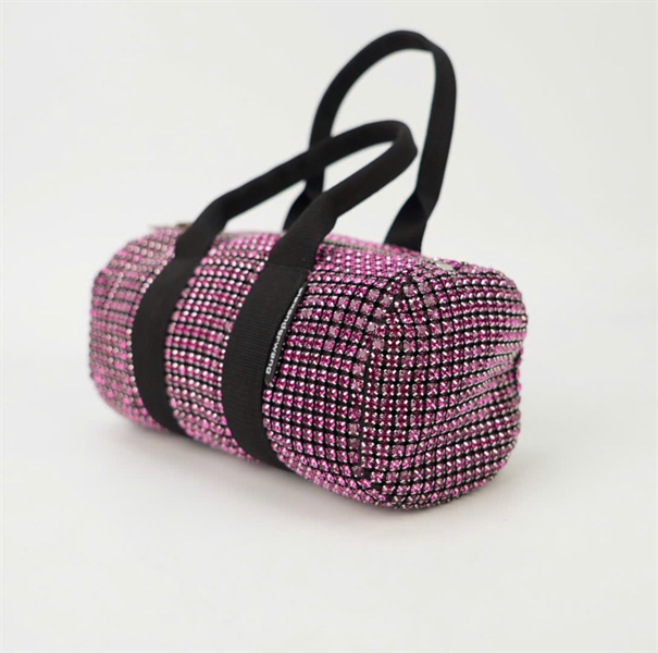 Túi Alexander Wang đá tím TB+