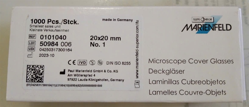Lamen 20 x 20 (Hộp to 10h bé) - Germany