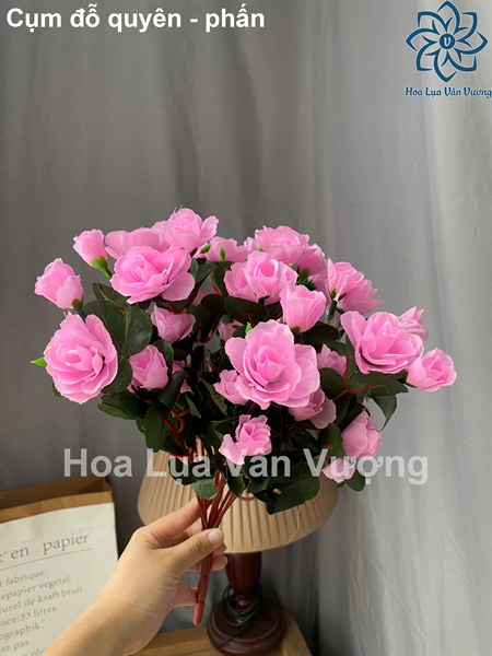 Cụm đỗ quyên - phấn - Hoa cành ngắn - Hoa Lụa Vân Vượng