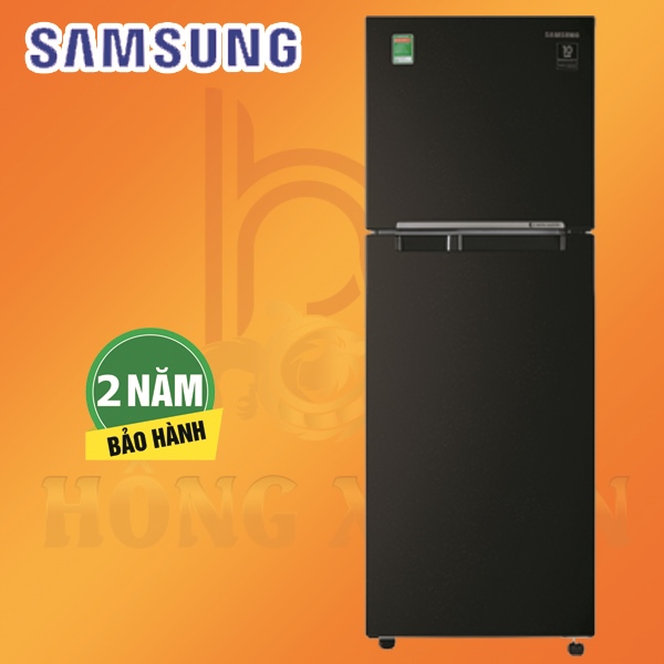 Tủ Lạnh SAMSUNG Inverter 236 Lít RT22M4032BY