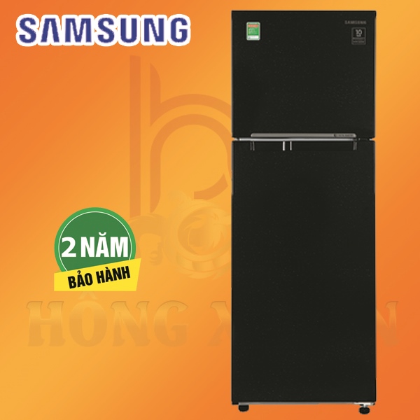 Tủ Lạnh SAMSUNG Inverter 256 Lít RT25M4032BU