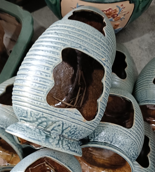 BÌNH THÁC NƯỚC RỄ CÂY XANH LỚN