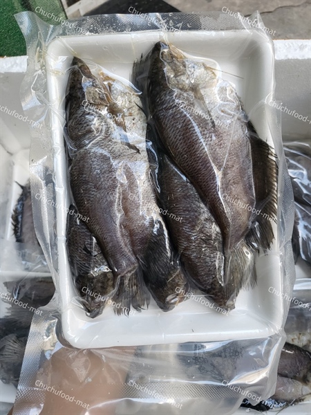 CÁ SẶC 3 NẮNG KO TRỨNG ( 500gr)