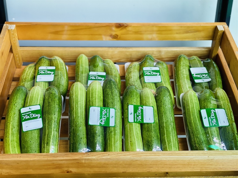 Dưa chuột hoa sen