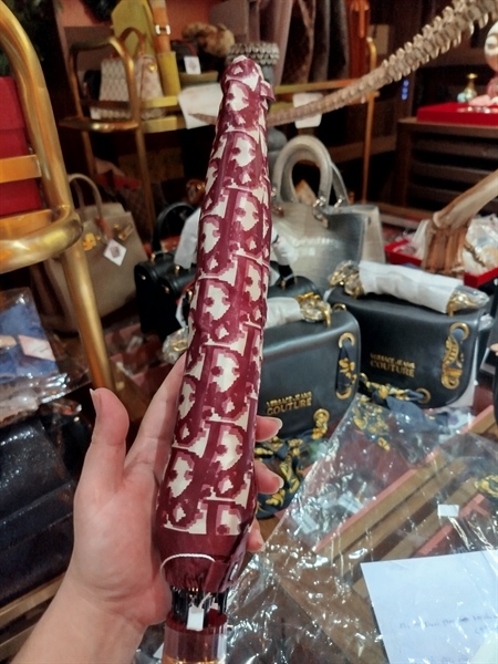 Ô Dior full đỏ - A Long live