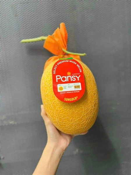 Dưa lưới vàng Pansy (ruột cam)