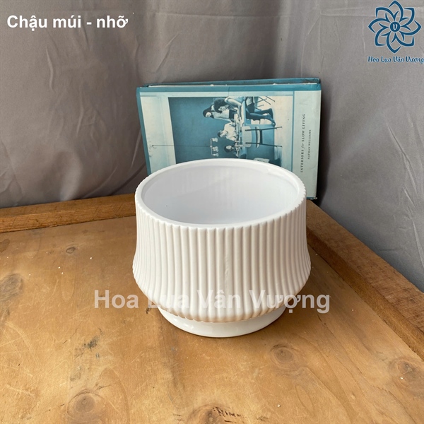 Chậu múi - nhỡ - Lọ hoa - Hoa Lụa Vân Vượng