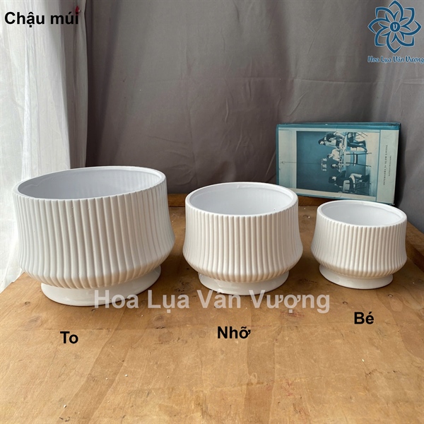 Chậu múi - bé - Lọ hoa - Hoa Lụa Vân Vượng