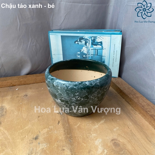 Chậu táo xanh - bé - Lọ hoa - Hoa Lụa Vân Vượng