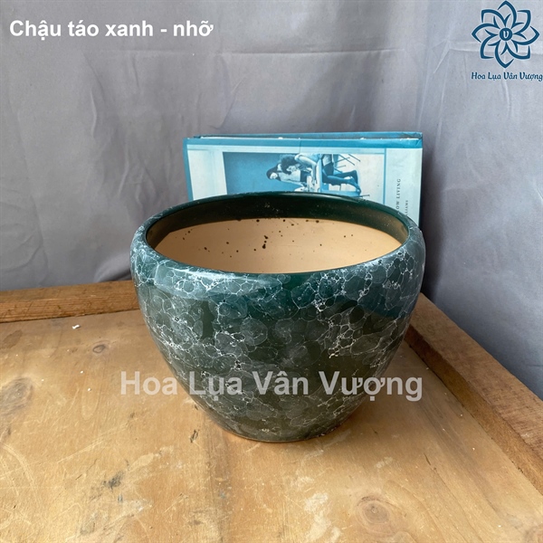 Chậu táo xanh - nhỡ - Lọ hoa - Hoa Lụa Vân Vượng