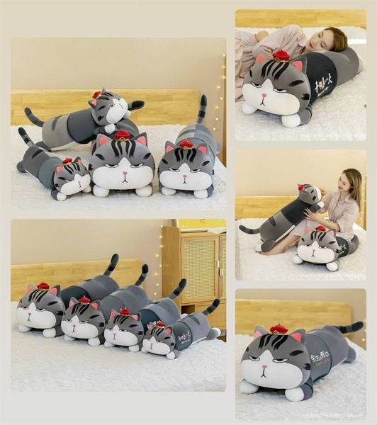 MÈO HOÀNG THƯỢNG NẰM 1M