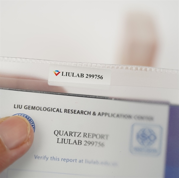 Mặt dây dơi ngũ phúc 299756 +