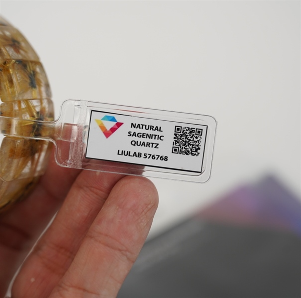 Vòng bản hoa thị SVip 576768+ ly6-19