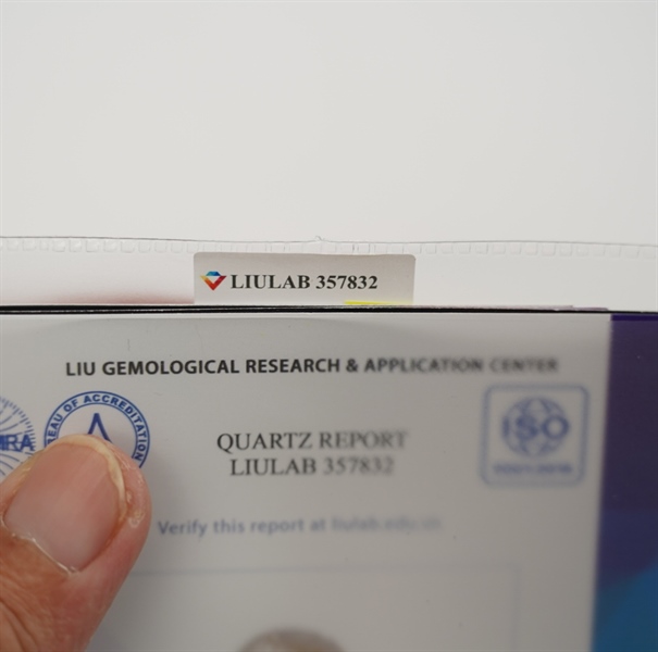 Mặt dây dơi ngũ phúc 357832 +