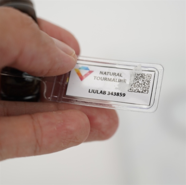 Vòng bản Tourmline 343859 + ly5-19