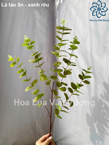 Lá táo 5n - Xanh rêu - Lá cành dài - Hoa Lụa Vân Vượng