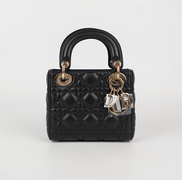 Túi Dior lady đen size mini (HC) +
