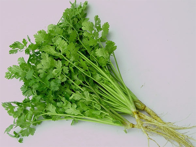 Rau Mùi