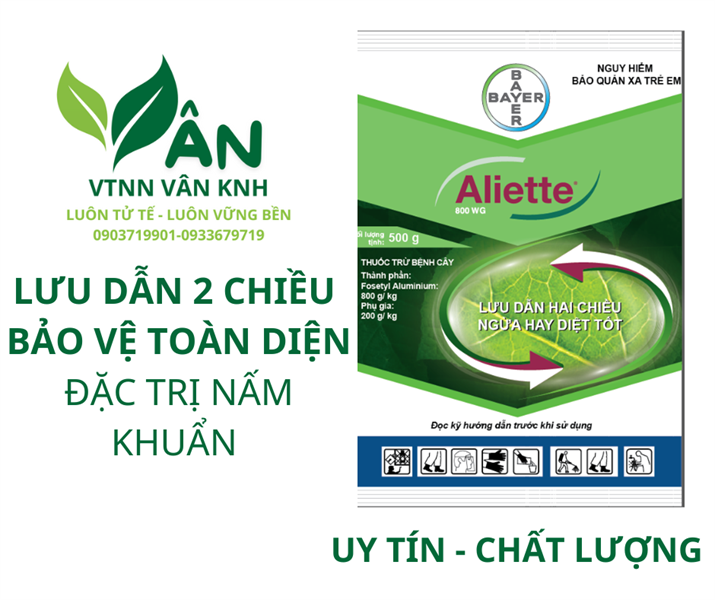 ALIETTE 800WG 100G