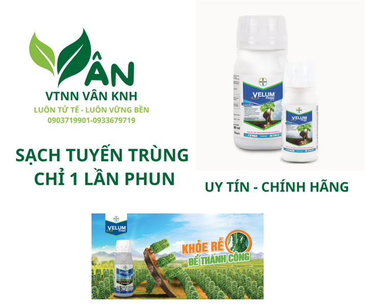 VELUM PRIME 400SC 100ML