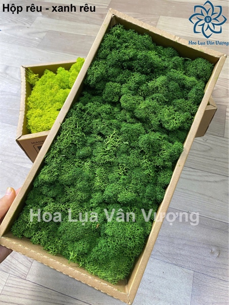 Hộp rêu - Xanh rêu - Rêu - Hoa Lụa Vân Vượng