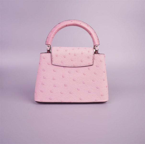 Túi LV capu hồng size 20 (TB) +