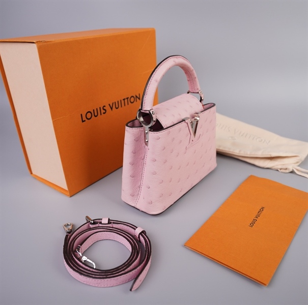 Túi LV capu hồng size 20 (TB) +