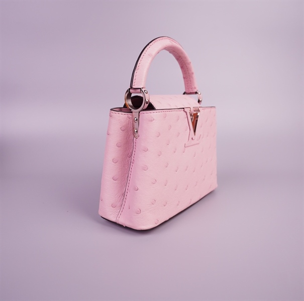 Túi LV capu hồng size 20 (TB) +