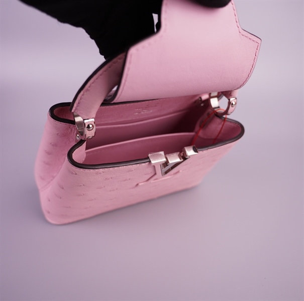 Túi LV capu hồng size 20 (TB) +