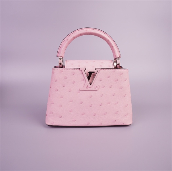 Túi LV capu hồng size 20 (TB) +