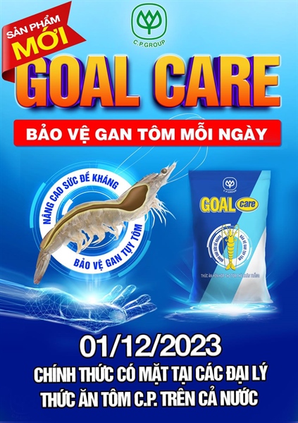 GOAL CARE 00