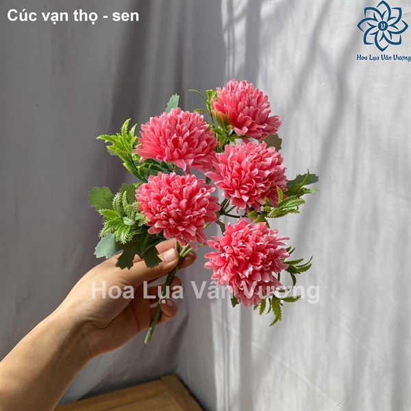 Cúc vạn thọ - sen - Hoa cành ngắn - Hoa Lụa Vân Vượng