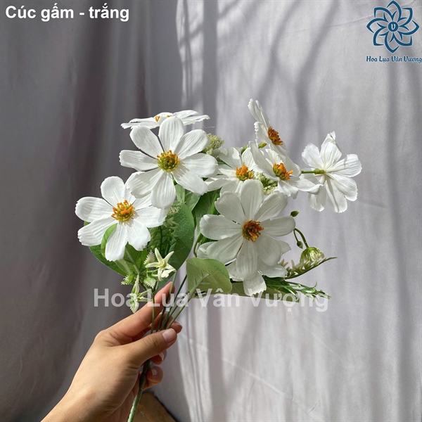 Cúc gấm - Hoa cành ngắn - Hoa Lụa Vân Vượng