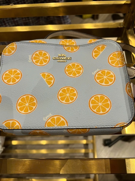 Túi Coach xanh trái cam size 18 KG+