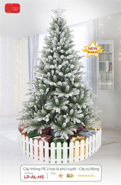 CÂY THÔNG LP-AL-HS