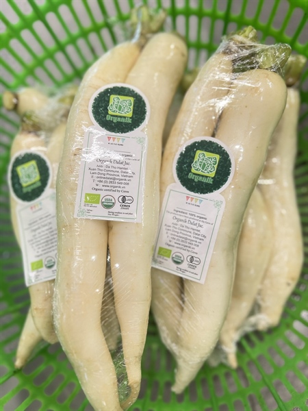 Củ cải trắng hữu cơ Organik dalat