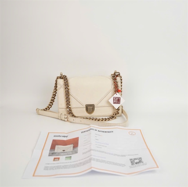 Túi Dior Woc màu trắng sz 21cm +