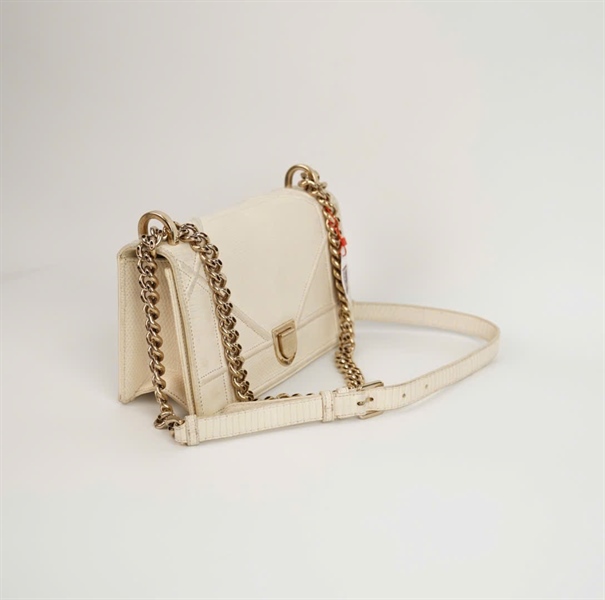 Túi Dior Woc màu trắng sz 21cm +