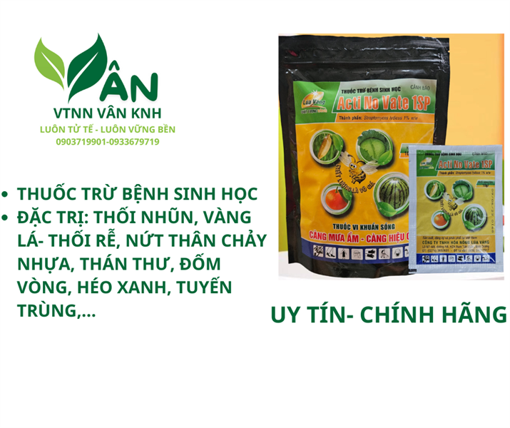 ACTIVENOVATE 1SP 10G