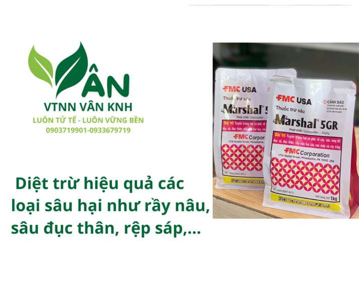 MARSHAL 5GR RẮC GỐC 1KG