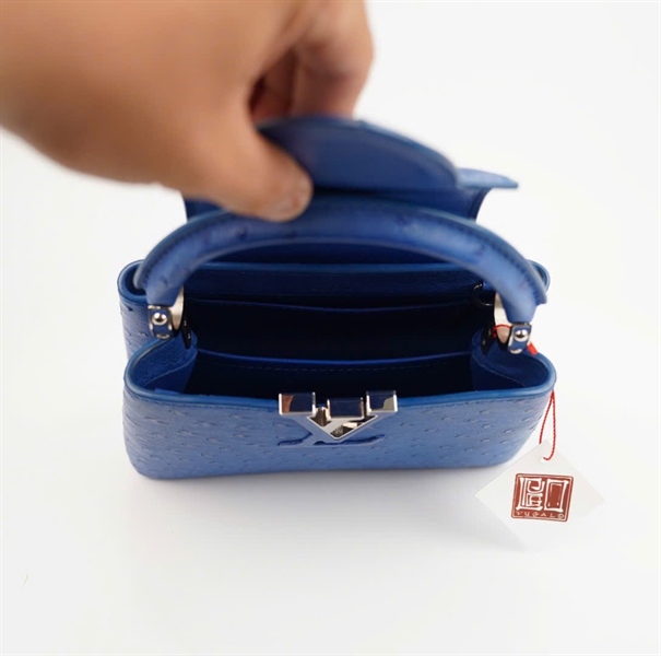 Túi LV Capu da đà điểu xanh dương size 18 KG+
