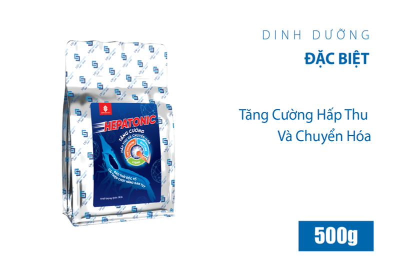 HEPATONIC 500G