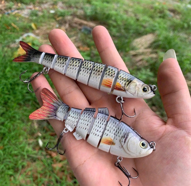 Cá nhựa khúc