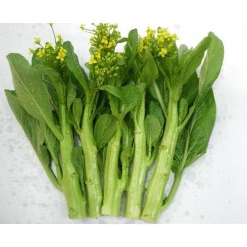 Cải ngồng ( tạm hết )