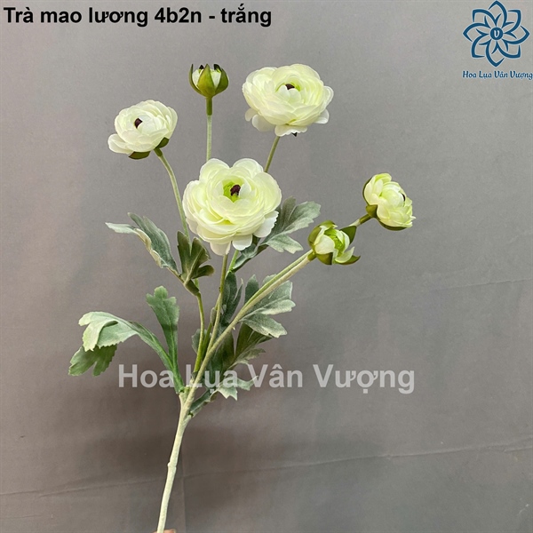 Trà mao lương 4b2n xịn - trắng - Hoa cành dài - Hoa Lụa Vân Vượng