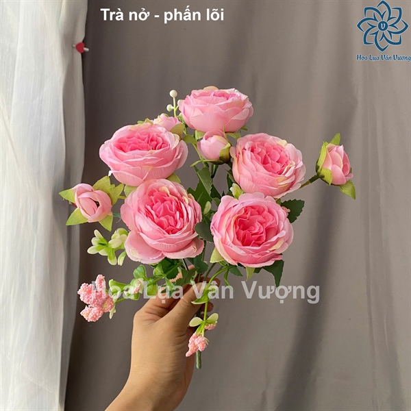 Trà nở - phấn lõi - Hoa cành ngắn - Hoa Lụa Vân Vượng