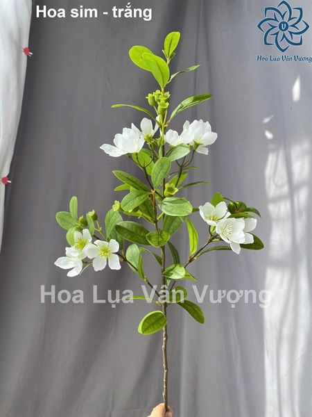 Hoa sim - trắng - Hoa cành dài - Hoa Lụa Vân Vượng
