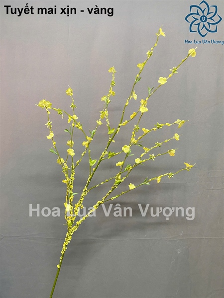 Tuyết mai xịn - vàng - Hoa cành dài - Hoa Lụa Vân Vượng